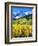 USA, Colorado, Rocky Mountains, Autumn in the Rockies-Jaynes Gallery-Framed Photographic Print