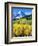 USA, Colorado, Rocky Mountains, Autumn in the Rockies-Jaynes Gallery-Framed Photographic Print