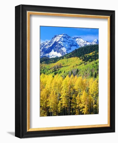 USA, Colorado, Rocky Mountains, Autumn in the Rockies-Jaynes Gallery-Framed Photographic Print