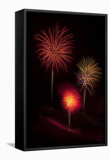 USA, Colorado, Salida. July 4th Fireworks Display-Don Grall-Framed Premier Image Canvas