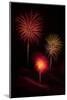 USA, Colorado, Salida. July 4th Fireworks Display-Don Grall-Mounted Photographic Print
