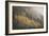 USA, Colorado, San Juan Mountains. Autumn Snowfall on Forest-Don Grall-Framed Photographic Print