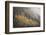 USA, Colorado, San Juan Mountains. Autumn Snowfall on Forest-Don Grall-Framed Photographic Print