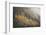 USA, Colorado, San Juan Mountains. Autumn Snowfall on Forest-Don Grall-Framed Photographic Print