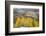 USA, Colorado, San Juan Mountains. Autumn Snowfall on Forest-Don Grall-Framed Photographic Print