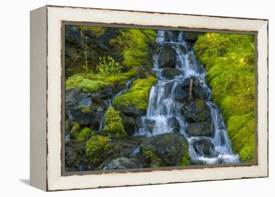 USA, Colorado, San Juan Mountains. Cascade Down Mossy Hillside-Jaynes Gallery-Framed Premier Image Canvas