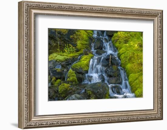 USA, Colorado, San Juan Mountains. Cascade Down Mossy Hillside-Jaynes Gallery-Framed Photographic Print