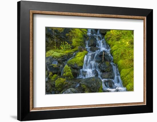 USA, Colorado, San Juan Mountains. Cascade Down Mossy Hillside-Jaynes Gallery-Framed Photographic Print