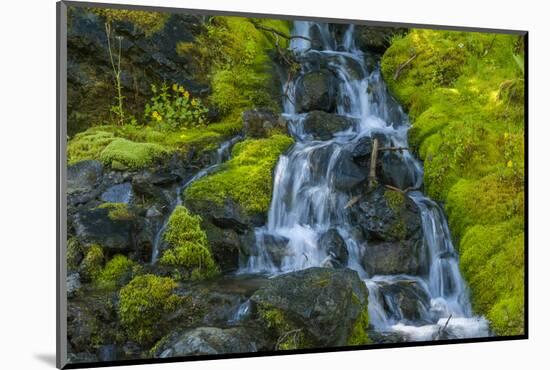 USA, Colorado, San Juan Mountains. Cascade Down Mossy Hillside-Jaynes Gallery-Mounted Photographic Print