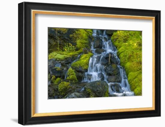 USA, Colorado, San Juan Mountains. Cascade Down Mossy Hillside-Jaynes Gallery-Framed Photographic Print