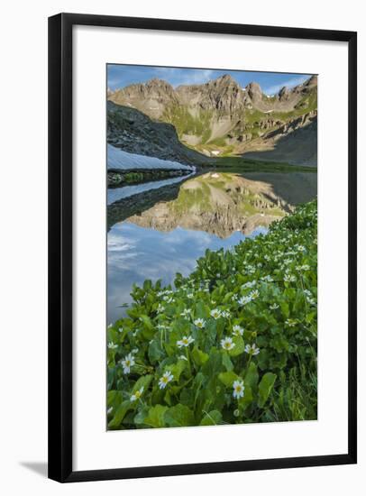USA, Colorado, San Juan Mountains. Clear Lake Reflection and Marigolds-Jaynes Gallery-Framed Photographic Print