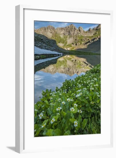 USA, Colorado, San Juan Mountains. Clear Lake Reflection and Marigolds-Jaynes Gallery-Framed Photographic Print