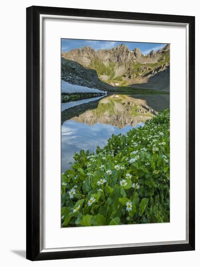 USA, Colorado, San Juan Mountains. Clear Lake Reflection and Marigolds-Jaynes Gallery-Framed Photographic Print