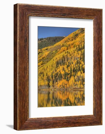 USA, Colorado, San Juan Mountains. Forest reflects in Lower Crystal Lake.-Jaynes Gallery-Framed Photographic Print