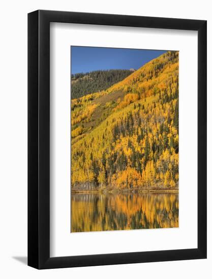 USA, Colorado, San Juan Mountains. Forest reflects in Lower Crystal Lake.-Jaynes Gallery-Framed Photographic Print