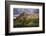 USA, Colorado, San Juan Mountains. Green mountain tundra and summer storm clouds.-Jaynes Gallery-Framed Photographic Print