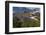 USA, Colorado, San Juan Mountains. Wildflowers on Cinnamon Pass-Jaynes Gallery-Framed Photographic Print