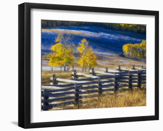 USA, Colorado, San Juan Mts. Fence line and aspens with fresh snow in the fall.-Julie Eggers-Framed Photographic Print