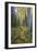 USA, Colorado. Scenic of Aspen Forest-Jaynes Gallery-Framed Photographic Print