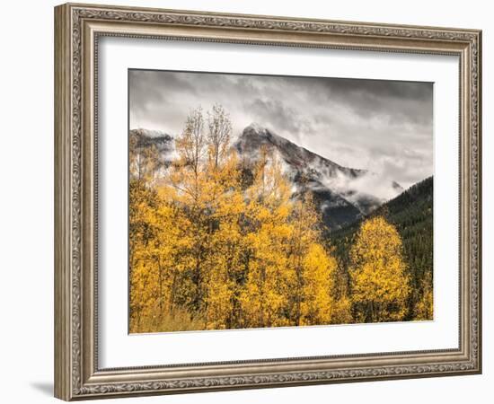 USA, Colorado, Silverton, Clearing Storm and Fall Color on the Alpine Loop-Ann Collins-Framed Photographic Print