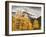 USA, Colorado, Silverton, Clearing Storm and Fall Color on the Alpine Loop-Ann Collins-Framed Photographic Print