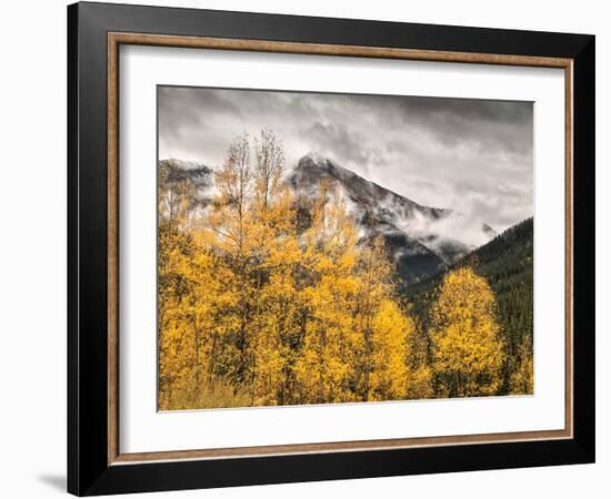 USA, Colorado, Silverton, Clearing Storm and Fall Color on the Alpine Loop-Ann Collins-Framed Photographic Print