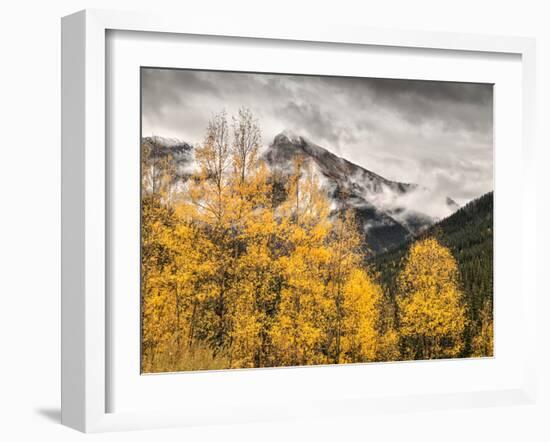 USA, Colorado, Silverton, Clearing Storm and Fall Color on the Alpine Loop-Ann Collins-Framed Photographic Print