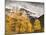 USA, Colorado, Silverton, Clearing Storm and Fall Color on the Alpine Loop-Ann Collins-Mounted Photographic Print