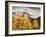 USA, Colorado, Silverton, Clearing Storm and Fall Color on the Alpine Loop-Ann Collins-Framed Photographic Print