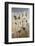 USA, Colorado, South Park. Close-up of Wild Burros-Don Grall-Framed Photographic Print