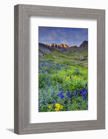 USA, Colorado. Sunrise in American Basin in the San Juan Mountains.-Dennis Flaherty-Framed Photographic Print