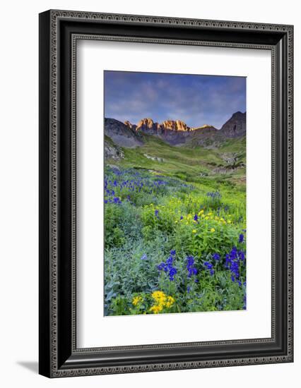 USA, Colorado. Sunrise in American Basin in the San Juan Mountains.-Dennis Flaherty-Framed Photographic Print