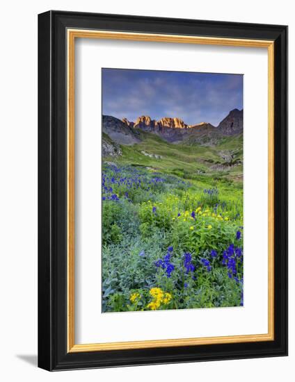 USA, Colorado. Sunrise in American Basin in the San Juan Mountains.-Dennis Flaherty-Framed Photographic Print