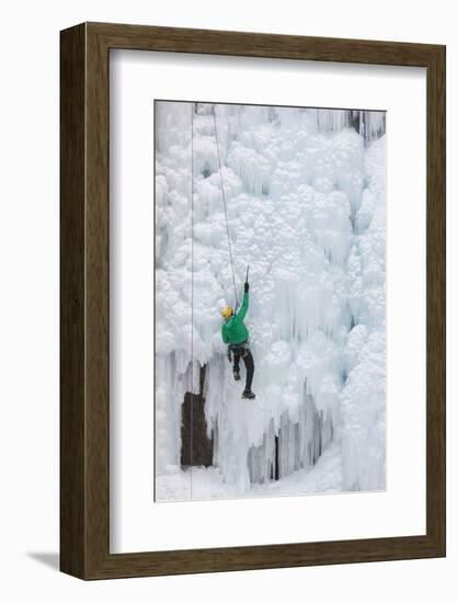 USA, Colorado, Uncompahgre National Forest. Climber ascends ice-encrusted cliff face.-Jaynes Gallery-Framed Photographic Print