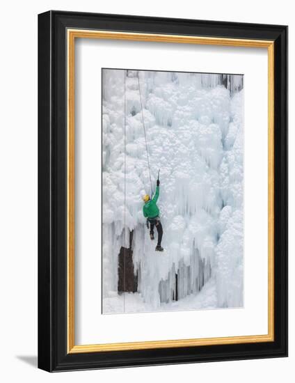 USA, Colorado, Uncompahgre National Forest. Climber ascends ice-encrusted cliff face.-Jaynes Gallery-Framed Photographic Print