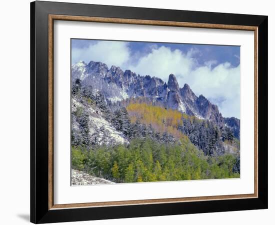 USA, Colorado, Uncompahgre National Forest, Fall Snow on Ophir Needles Above Aspen and Conifers-John Barger-Framed Photographic Print