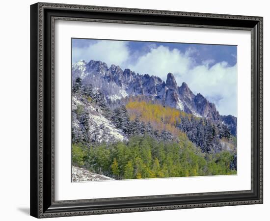 USA, Colorado, Uncompahgre National Forest, Fall Snow on Ophir Needles Above Aspen and Conifers-John Barger-Framed Photographic Print