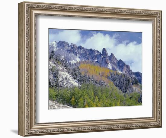 USA, Colorado, Uncompahgre National Forest, Fall Snow on Ophir Needles Above Aspen and Conifers-John Barger-Framed Photographic Print