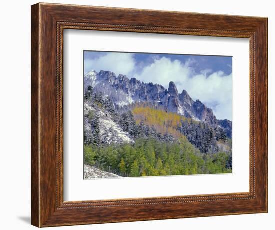 USA, Colorado, Uncompahgre National Forest, Fall Snow on Ophir Needles Above Aspen and Conifers-John Barger-Framed Photographic Print