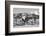 USA, Colorado, Westcliffe. Herd of horses with Rocky Mountains.-Cindy Miller Hopkins-Framed Photographic Print