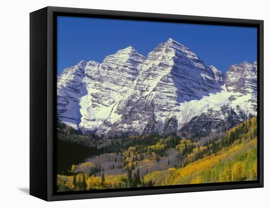 USA, Colorado, White River National Forest, Maroon Bells Snowmass Wilderness-John Barger-Framed Premier Image Canvas