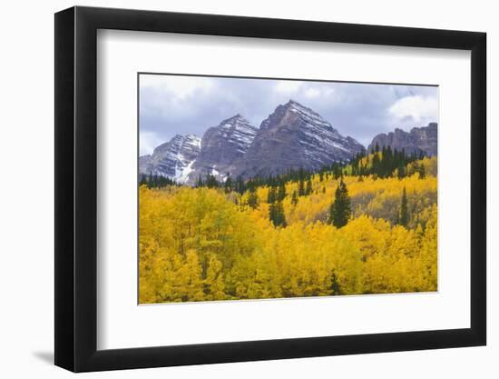 USA, Colorado, White River National Forest, Maroon Bells Snowmass Wilderness-John Barger-Framed Photographic Print