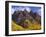 USA, Colorado, White River National Forest, Maroon Bells Snowmass Wilderness-John Barger-Framed Photographic Print