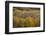 USA, Colorado, White River NF. Aspen Grove at Peak Autumn Color-Don Grall-Framed Photographic Print