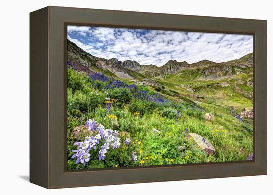 USA, Colorado. Wildflowers in American Basin in the San Juan Mountains-Dennis Flaherty-Framed Premier Image Canvas