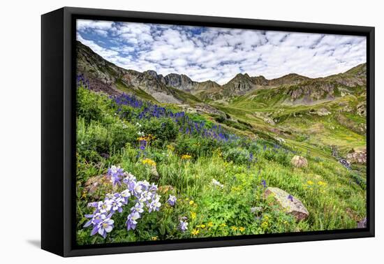 USA, Colorado. Wildflowers in American Basin in the San Juan Mountains-Dennis Flaherty-Framed Premier Image Canvas