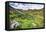 USA, Colorado. Wildflowers in American Basin in the San Juan Mountains-Dennis Flaherty-Framed Premier Image Canvas