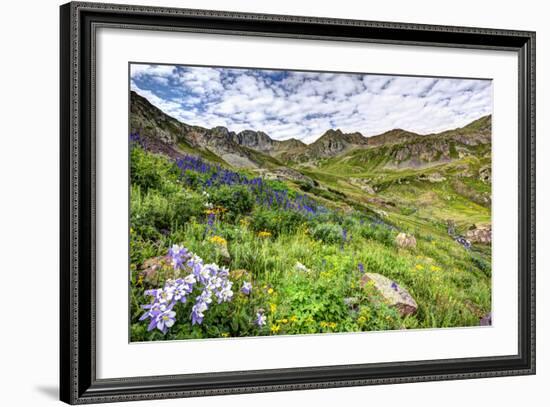 USA, Colorado. Wildflowers in American Basin in the San Juan Mountains-Dennis Flaherty-Framed Photographic Print