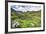 USA, Colorado. Wildflowers in American Basin in the San Juan Mountains-Dennis Flaherty-Framed Photographic Print