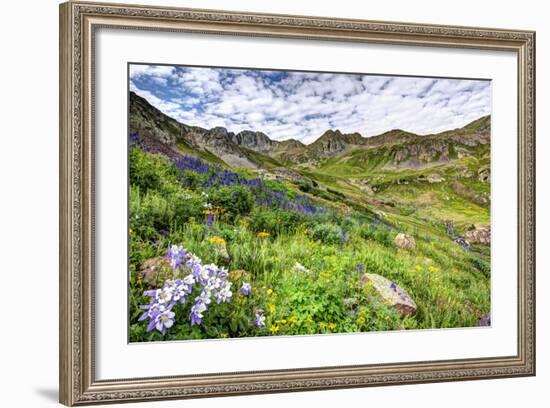 USA, Colorado. Wildflowers in American Basin in the San Juan Mountains-Dennis Flaherty-Framed Photographic Print